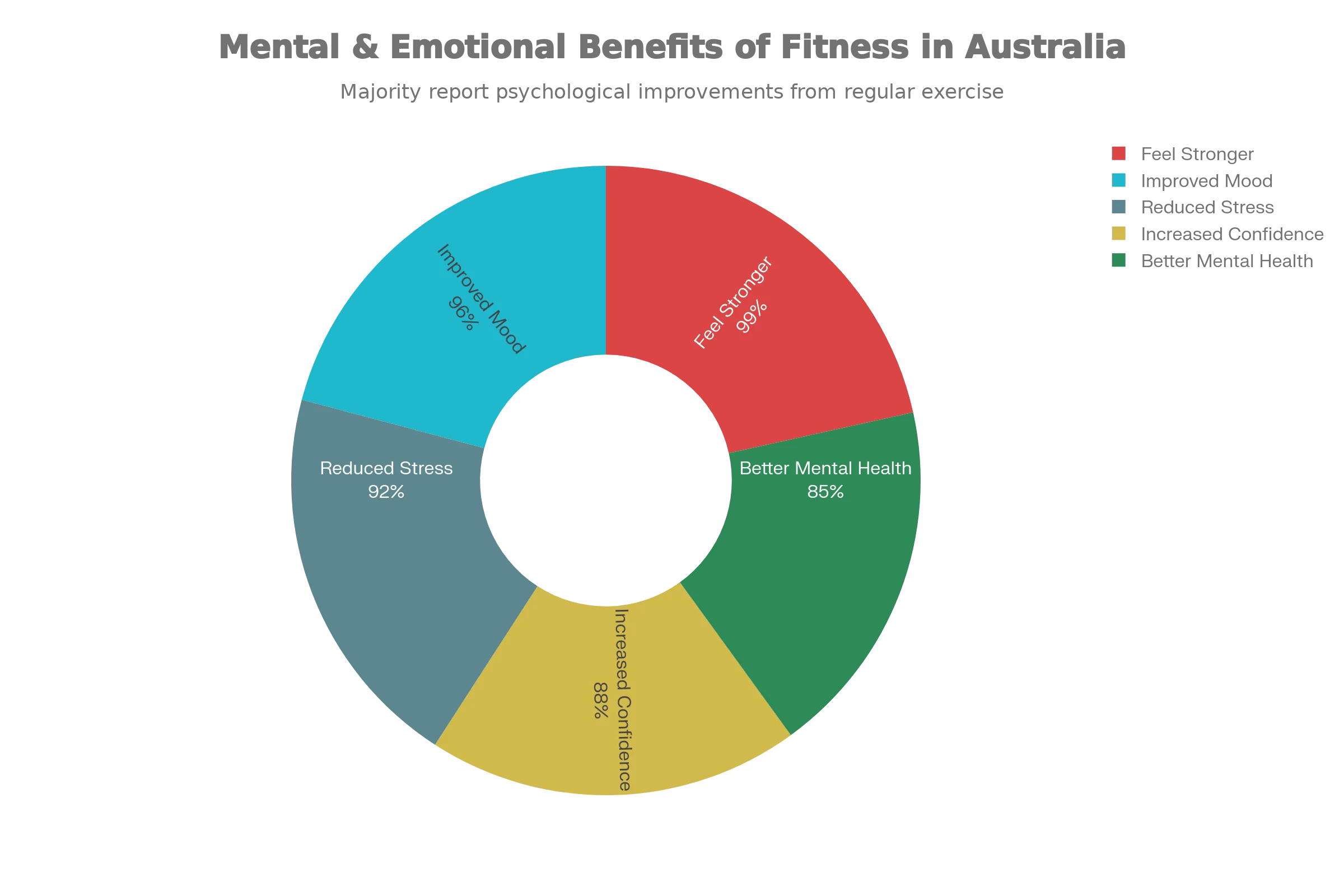 Mental Health Benefits of Fitness